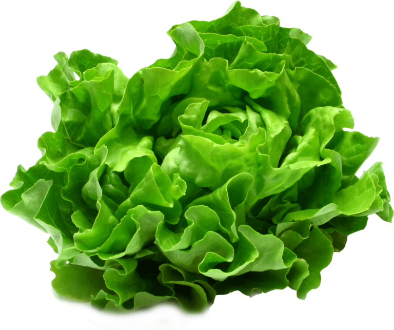 Salade