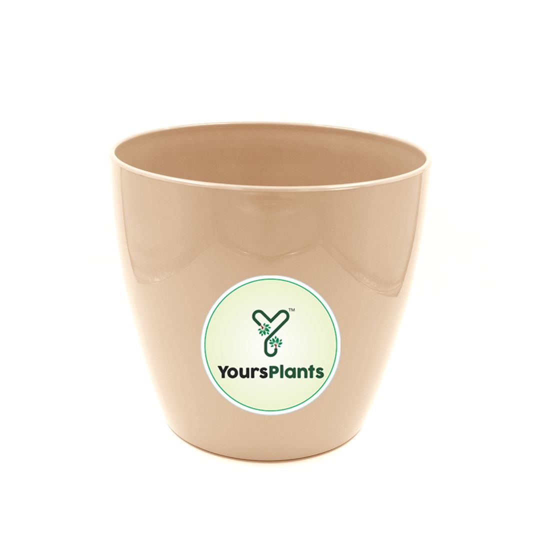 Large Planters with Wheels | 12Inch Planter | Cream