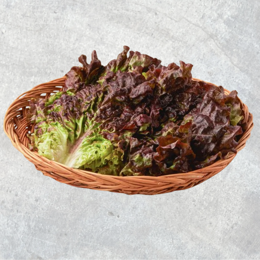 Korean Lettuce, 170g