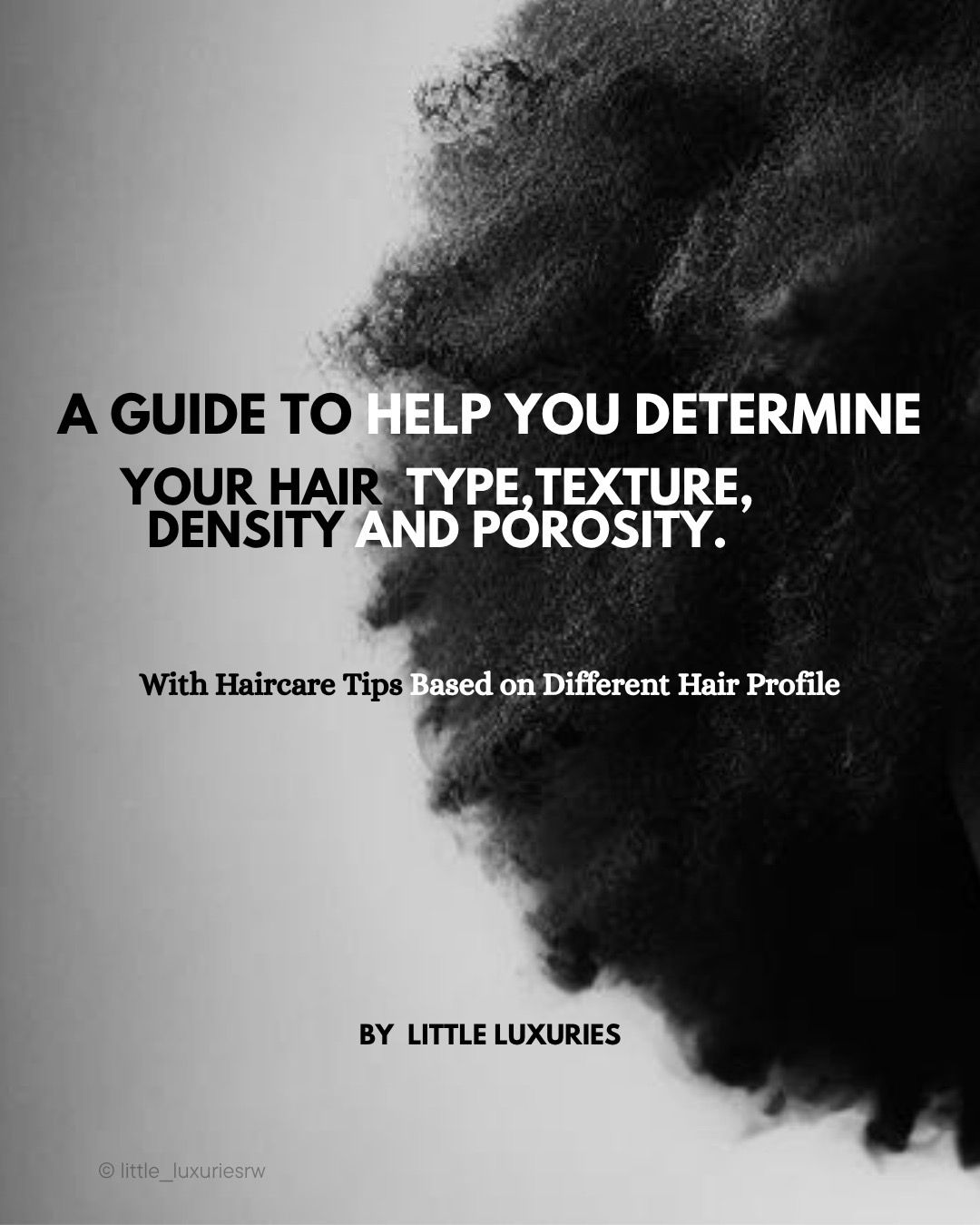Free Guide to help you determine your Hair Type, Density, Texture and Porosity
