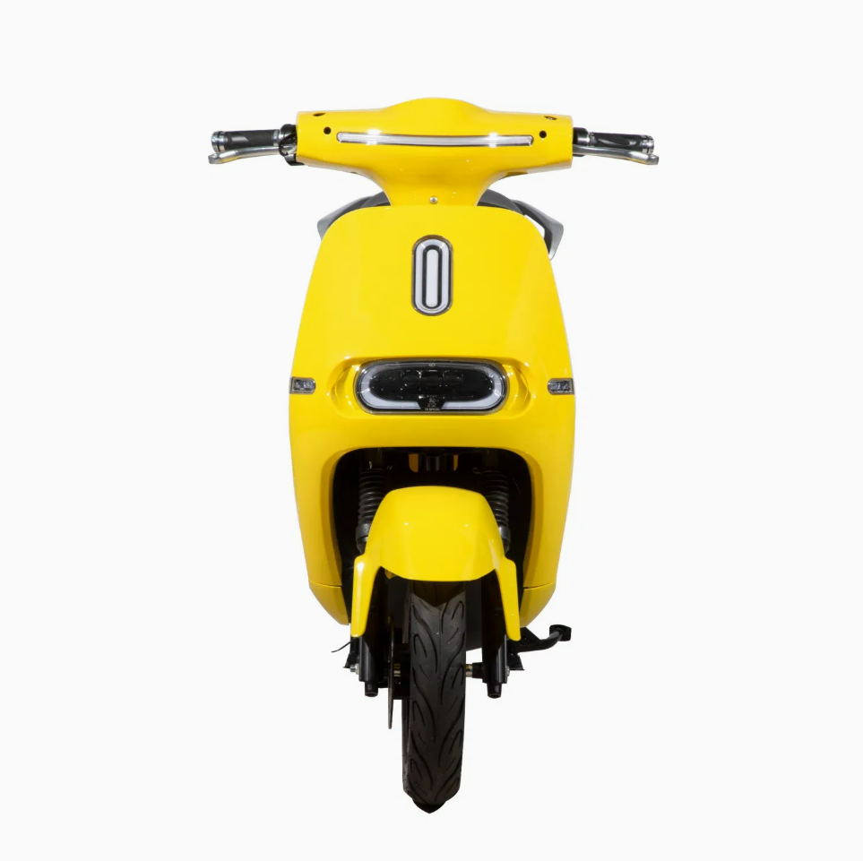 TY-GOGO Electric Scooter