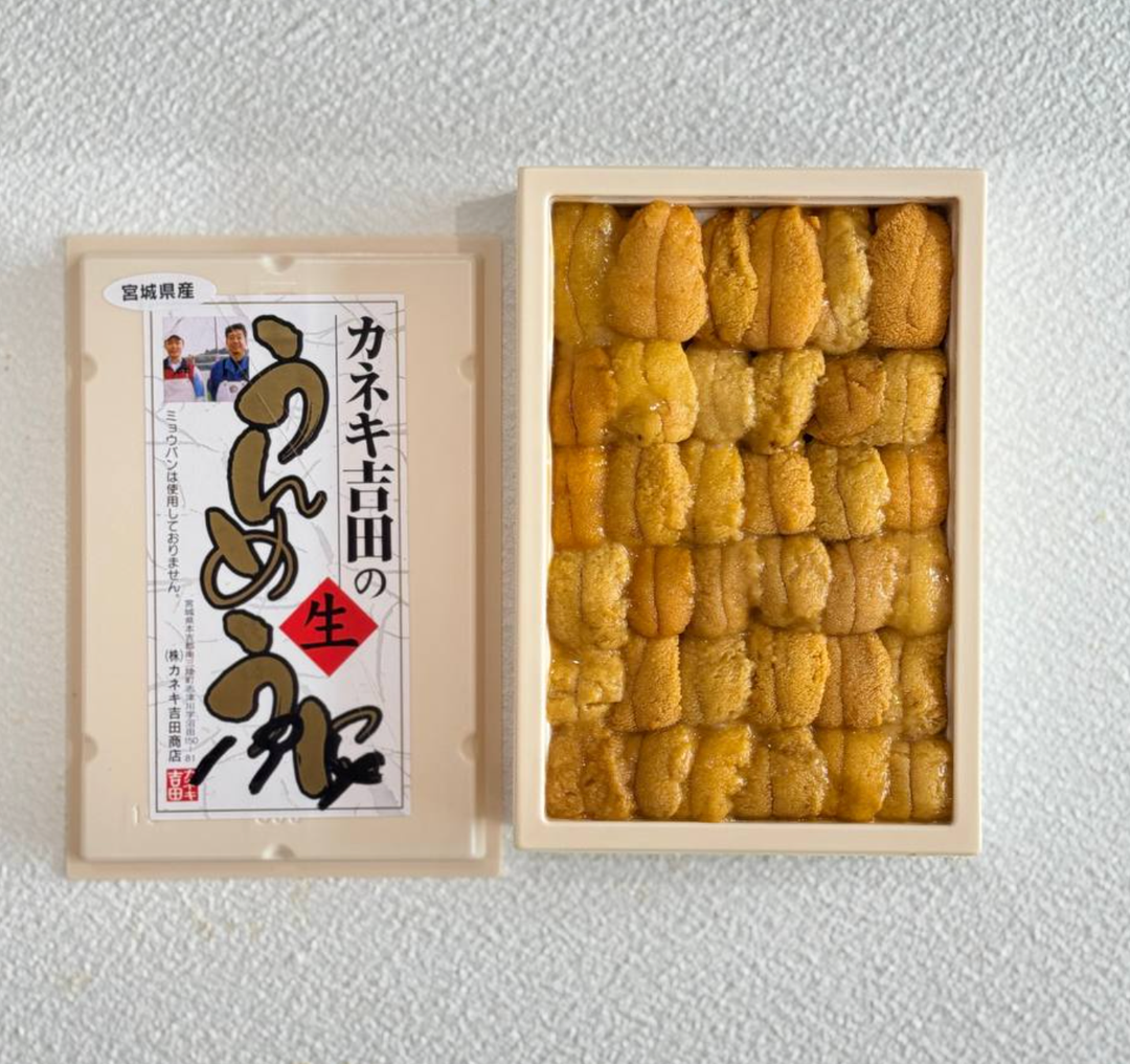 (FALL DOWN) 250g 'Yoshida 吉田' Murasaki Uni 