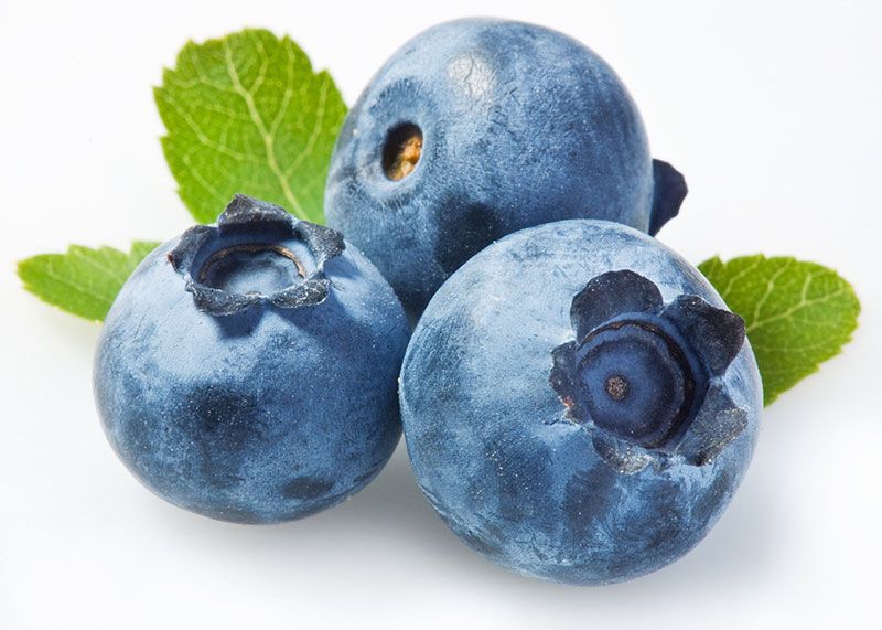 Blueberries بلوبري