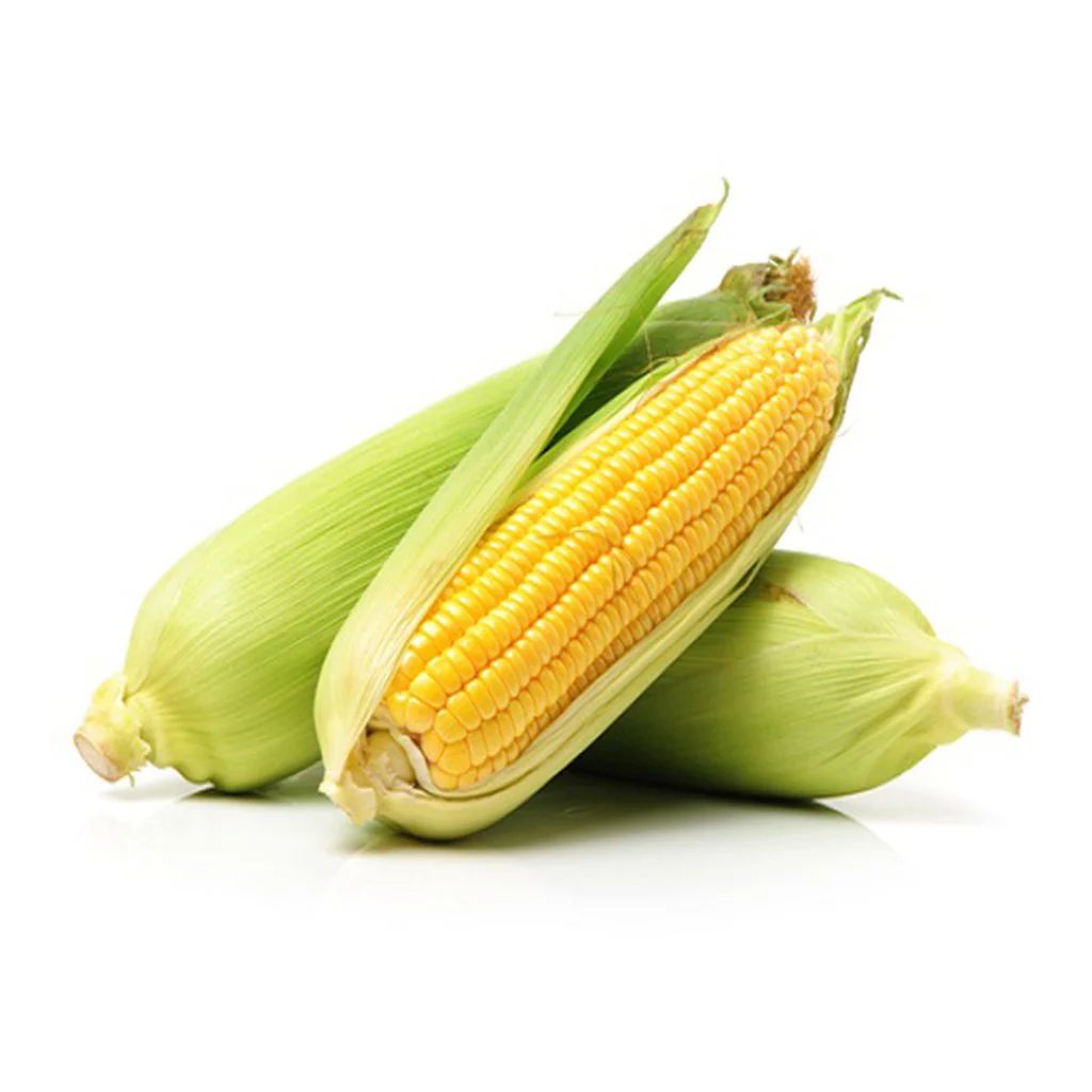 Corn ذرة