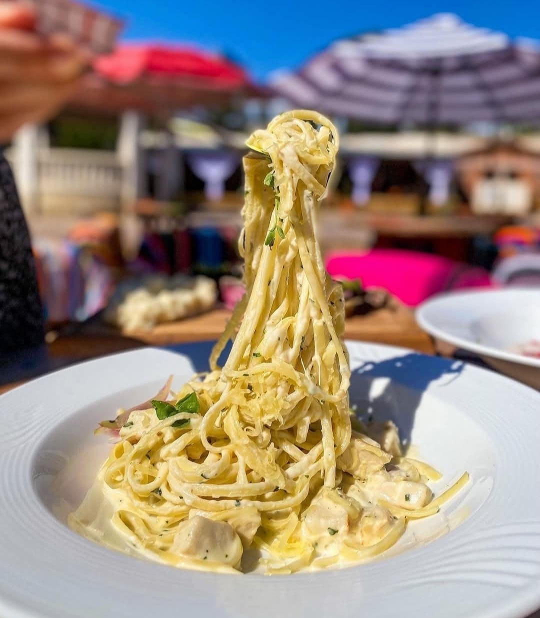Fetuccini (Fettuccine)