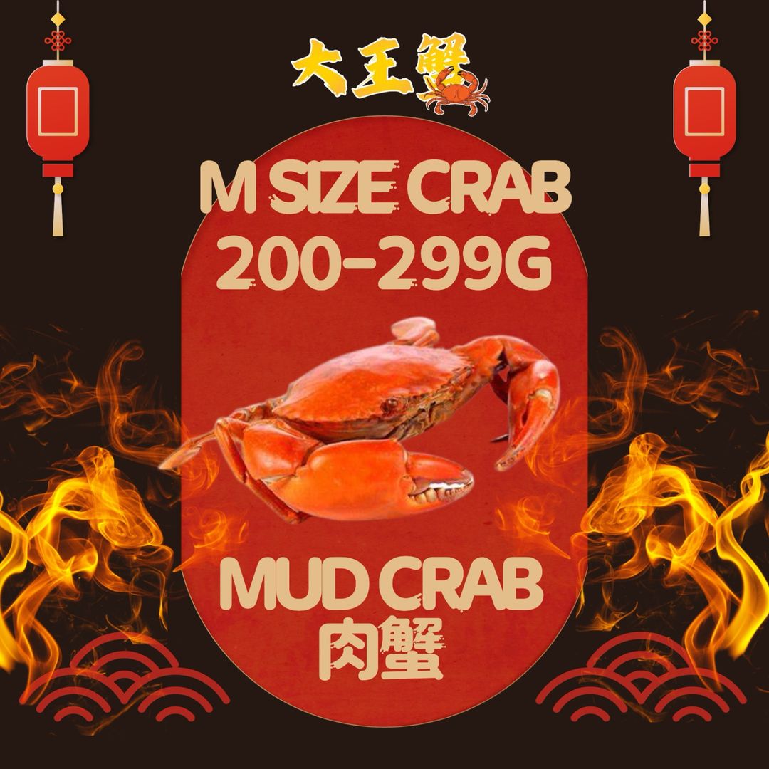 M SIZE 肉蟹 x 5只pcs (200-299G) 