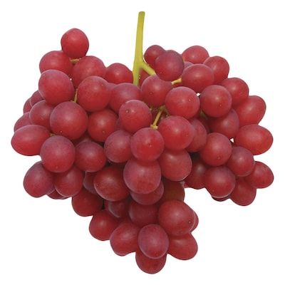 Red Grapes