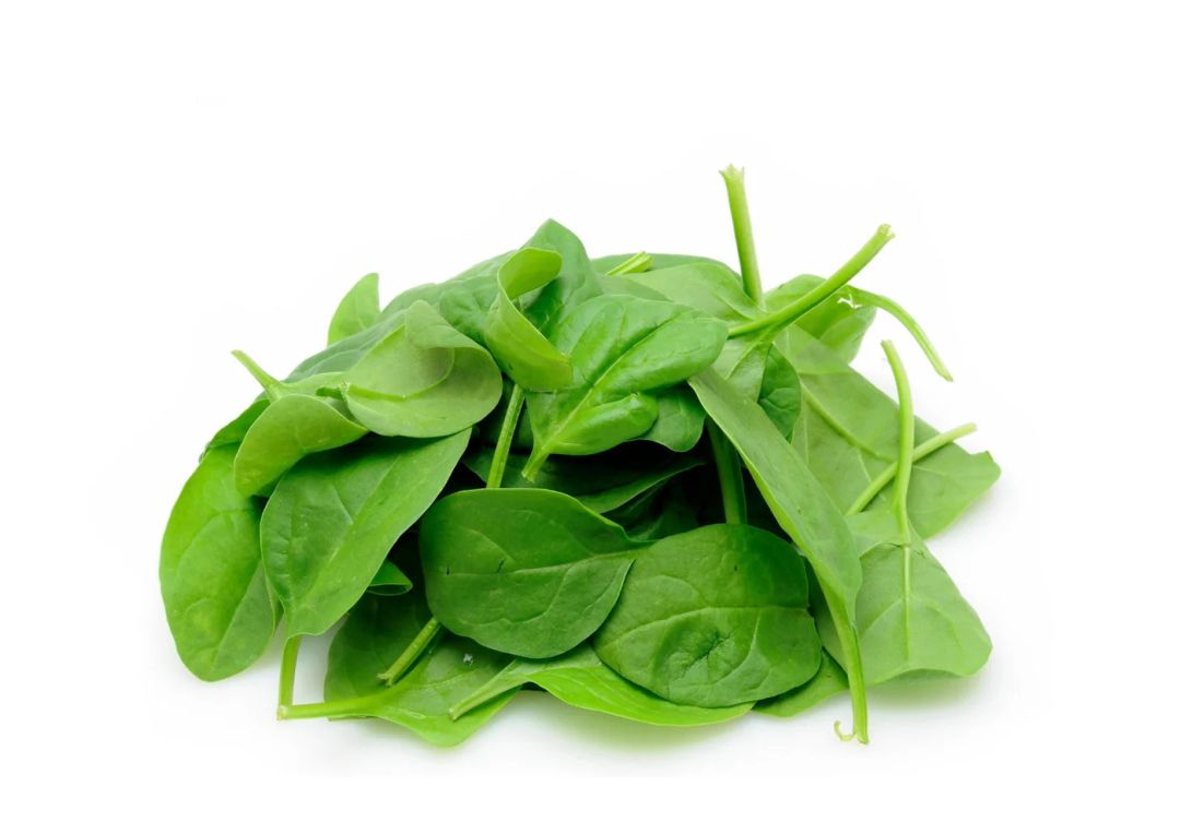 Baby leaves Spinach سبانخ صغيرة
