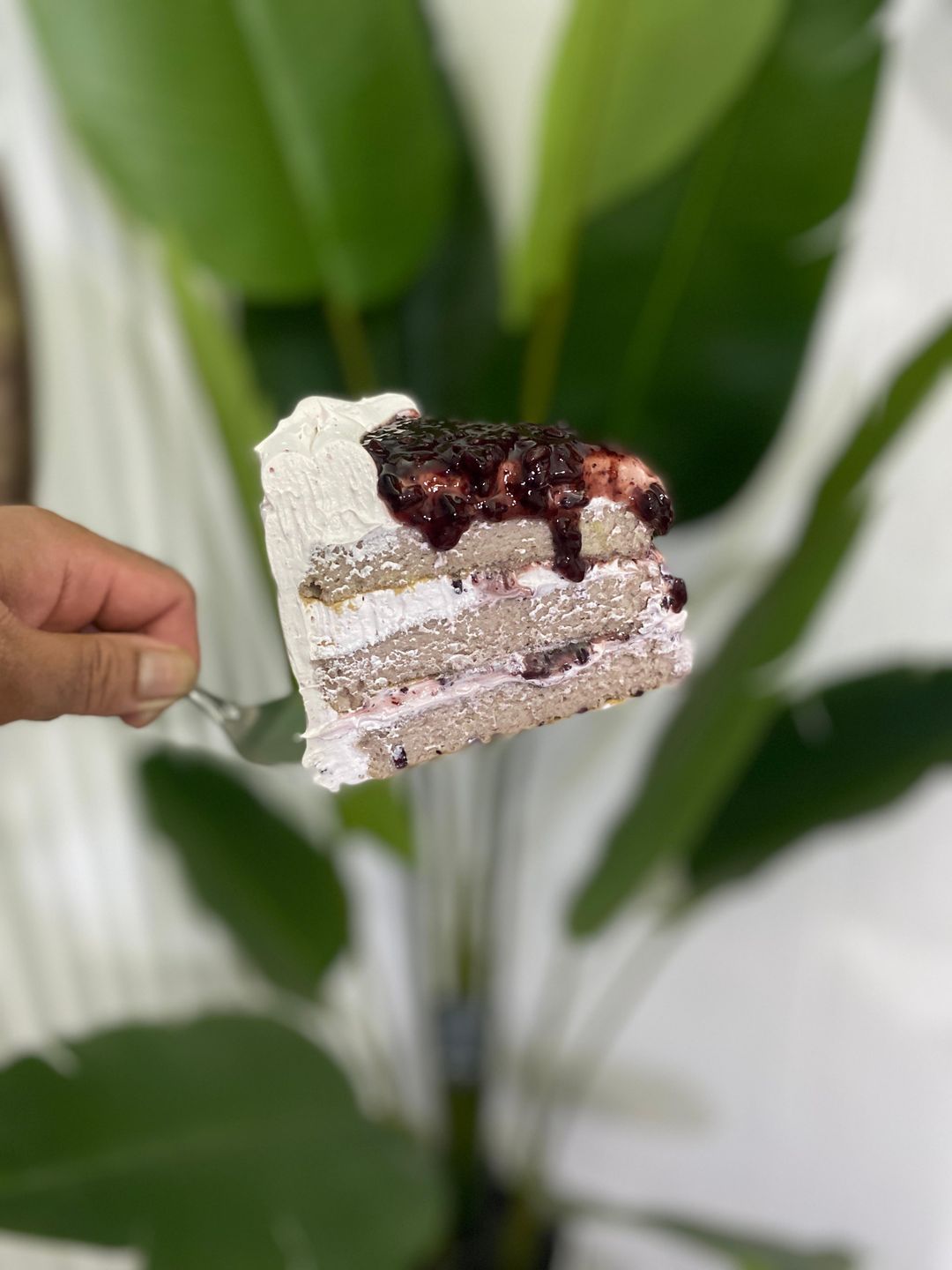 Pulut Hitam Cake