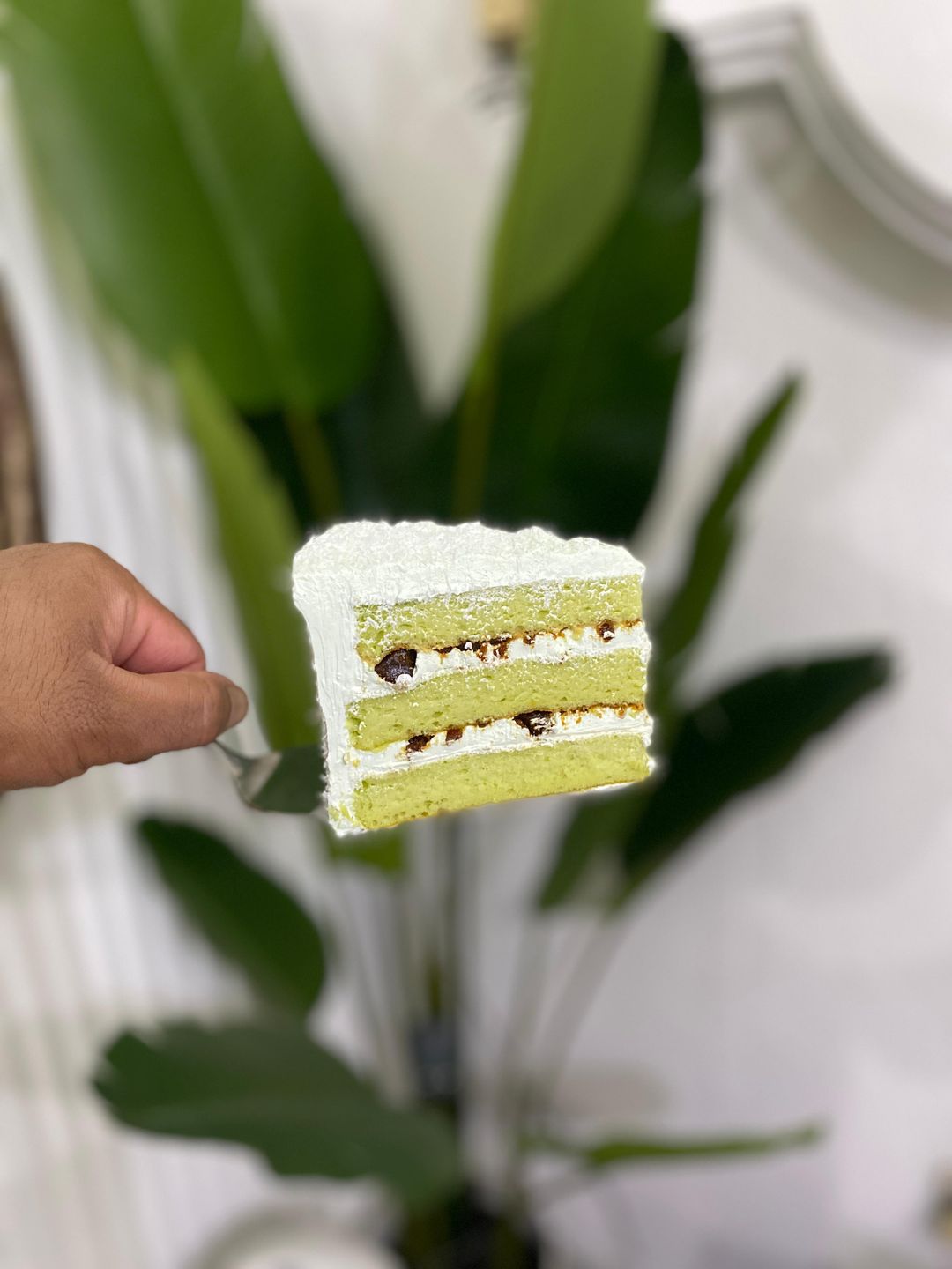 Pandan Gula Melaka Cake