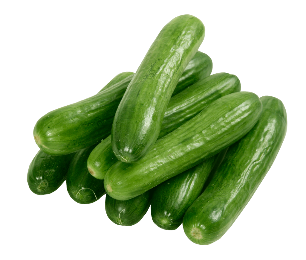 Cucumber خيار