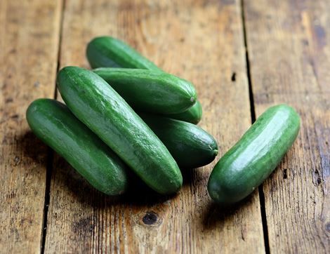 Baby Cucumber خيار بيبي