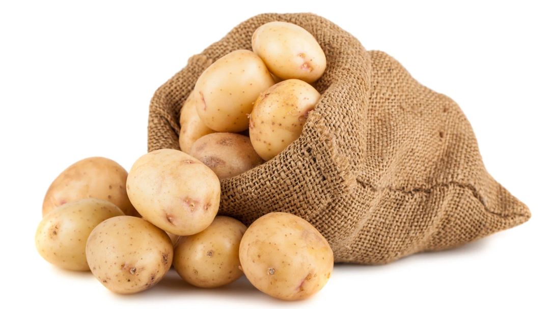 Potato بطاطا