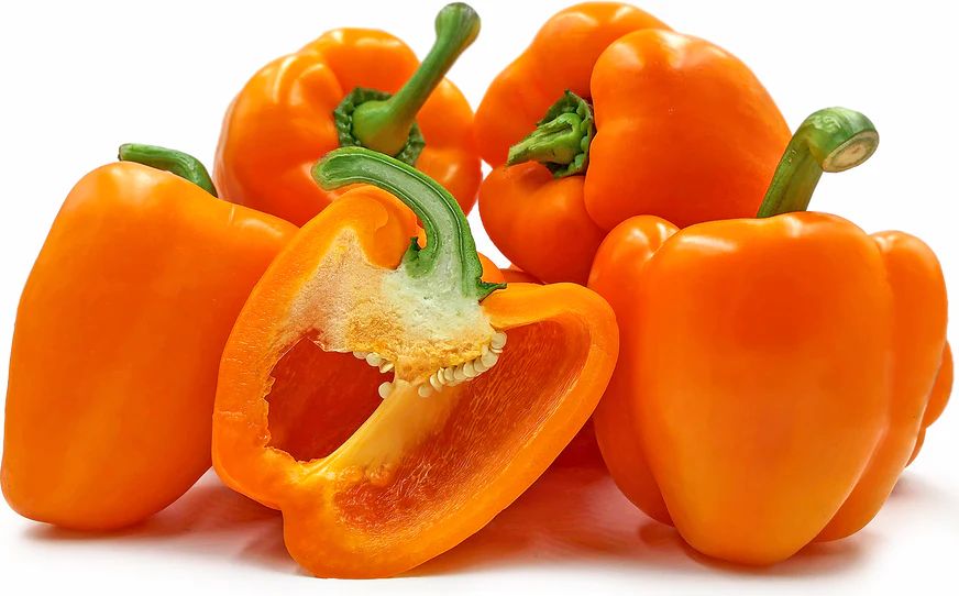 Orange Pepper فلفل حلو برتقالي