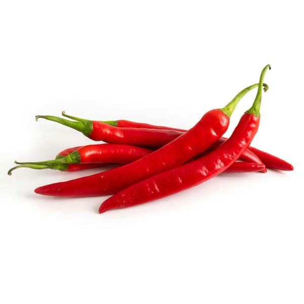 Hot Red Chilli Pepper فلفل أحمر حار