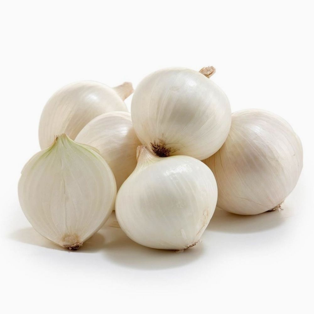 White Onion بصل أبيض