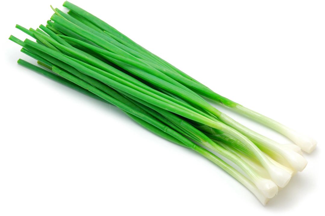 Green Onion بصل أخضر