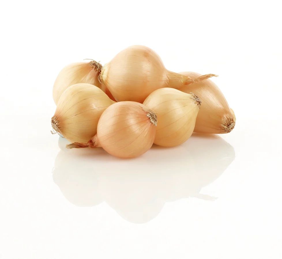 Baby Onion بصل صغير
