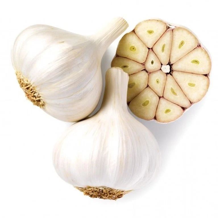 Garlic ثوم