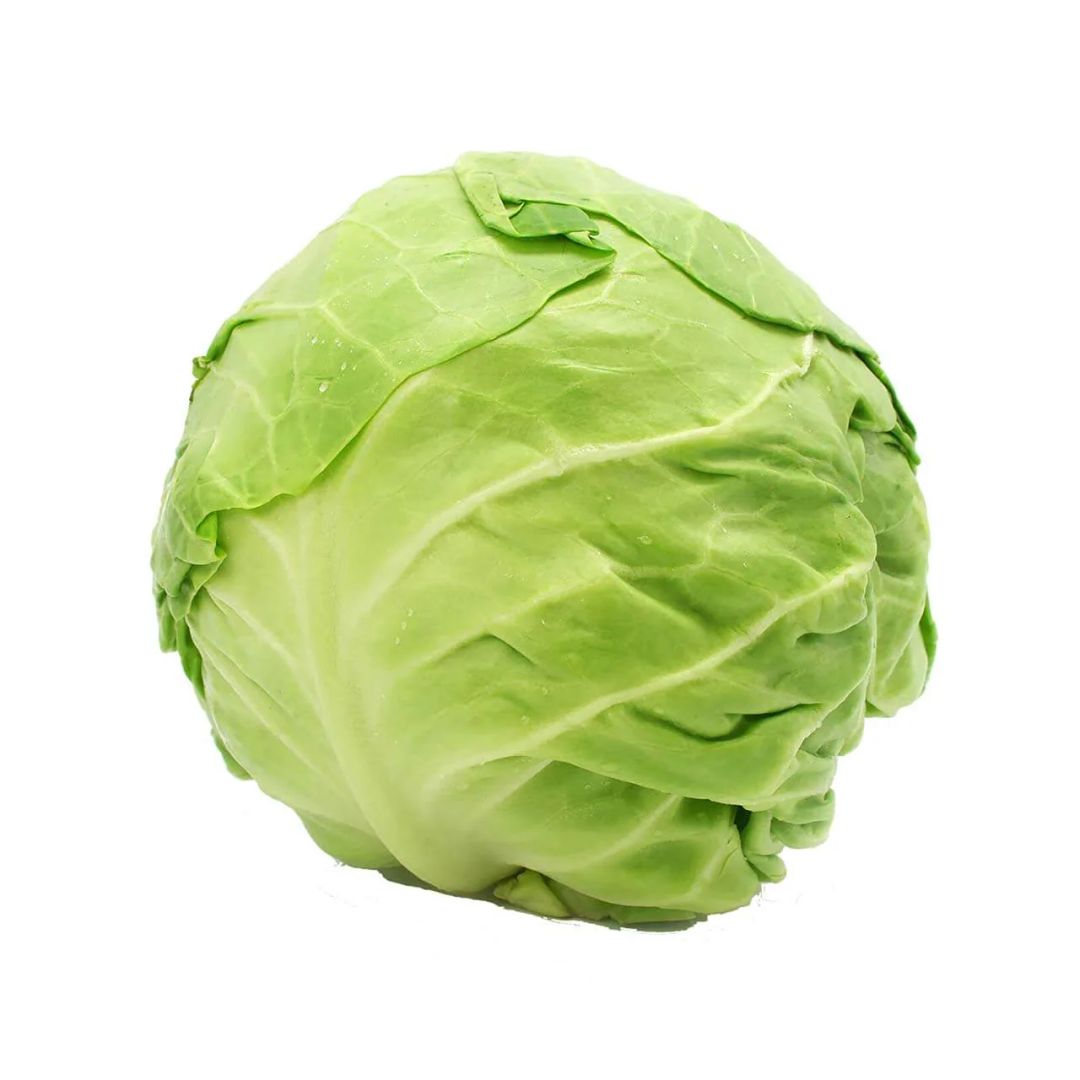 Green Cabbage ملفوف أخضر