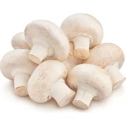 White Mushroom فطر أبيض