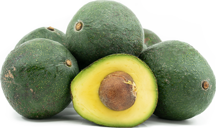 Avocado Palestine  أفوكادو فلسطيني