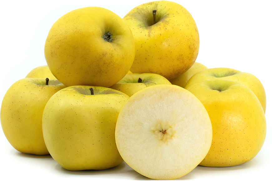 Yellow Apples تفاح أصفر