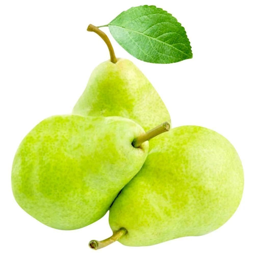 Pears اجاص