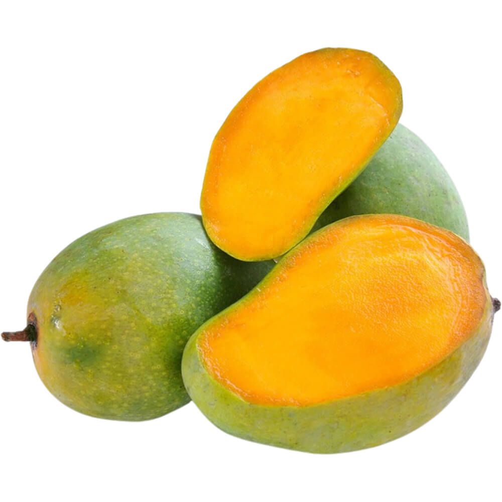 Mango Egypt مانجا مصري