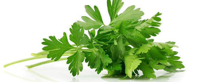 Parsley بقدونس