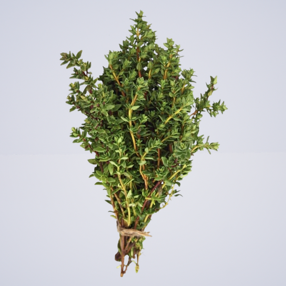 Thyme زعتر