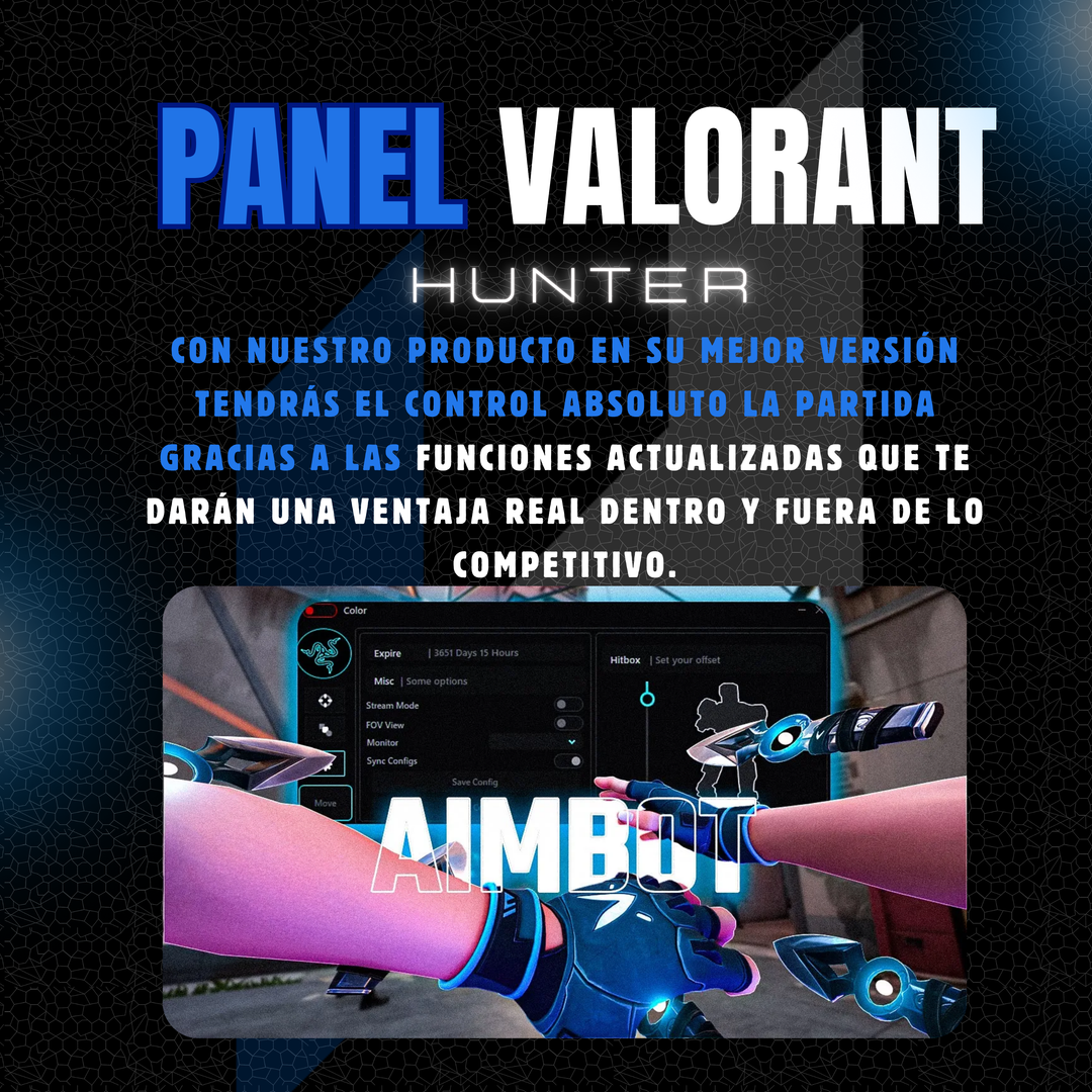 Panel Valorant