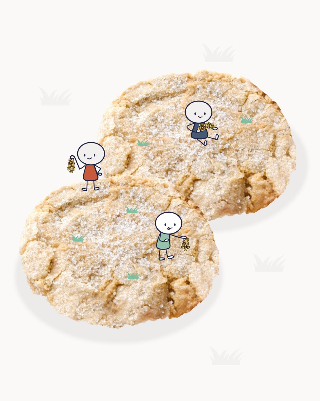 BIG COOKIES | Golden peanut |  8 cm cookie | 3 pcs/box | 110