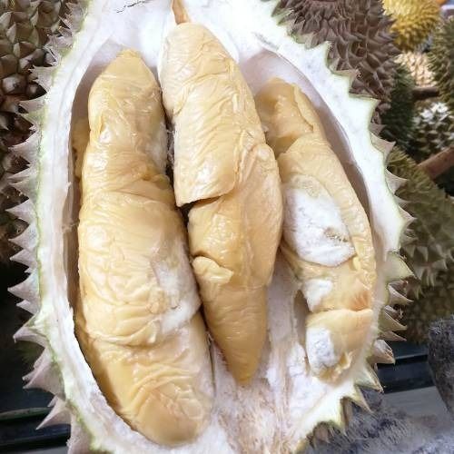 400-420g Tekka (Slight bitter, creamy, small seed) 竹脚 （一点苦，奶油状，小种子）