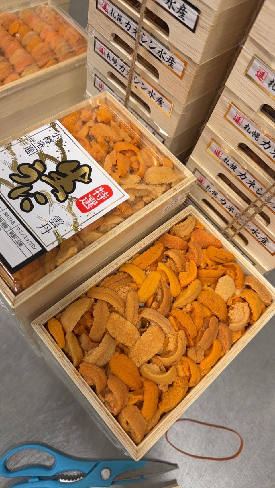 250g 'Kaneshin Black 札幌進黒缶' Bafun Uni