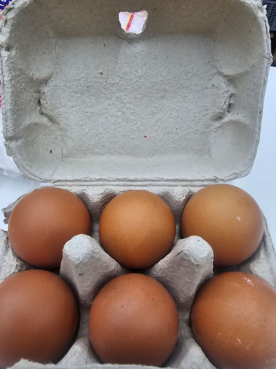 Ovos duzia (12pcs)