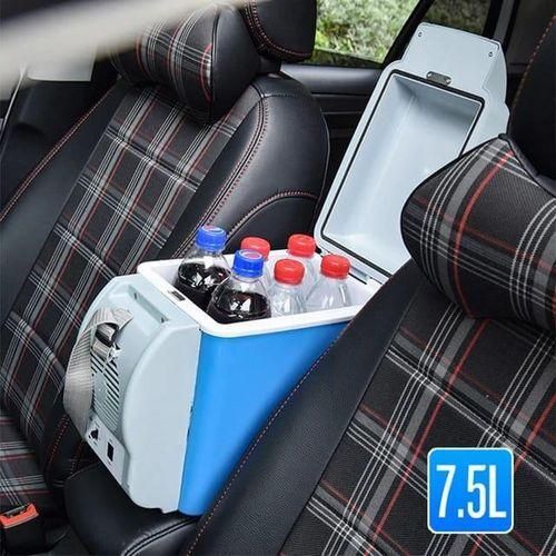Car fridge/warmer