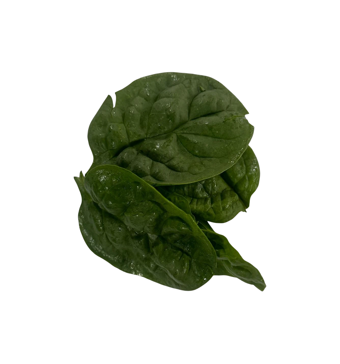 The Green Batch – Spinach / Espinaca