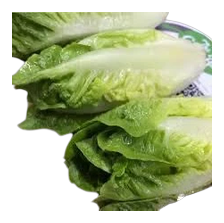 The Green Batch – Romaine Lettuce Hearts PET 2 units / Cogollos de Lechuga Romana PET 2 unidades