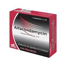 الفاكلينداميسين2مل/300مجم 5أمبول