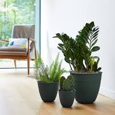 Family Set Flower Pots