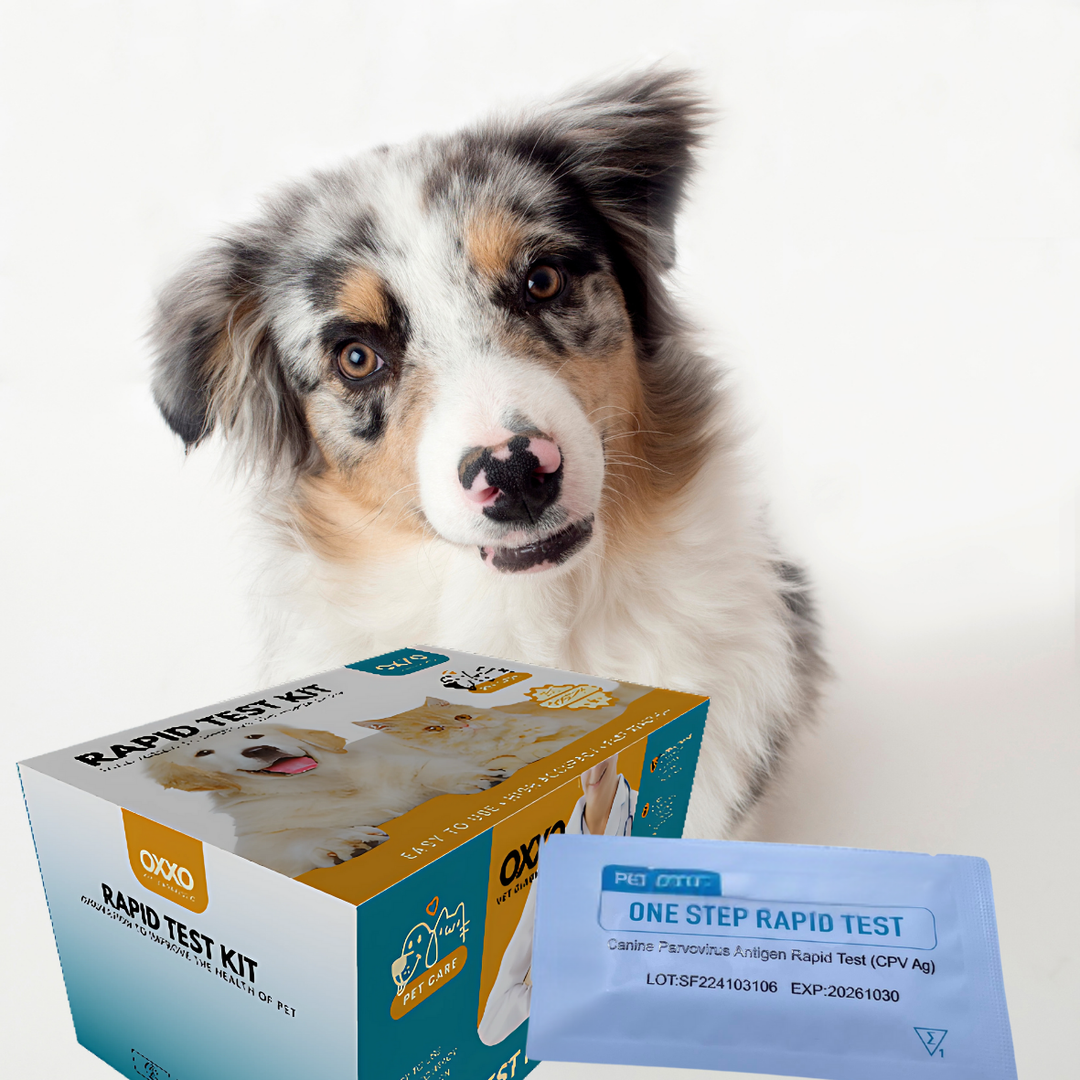RAPID TEST KIT - CANINE