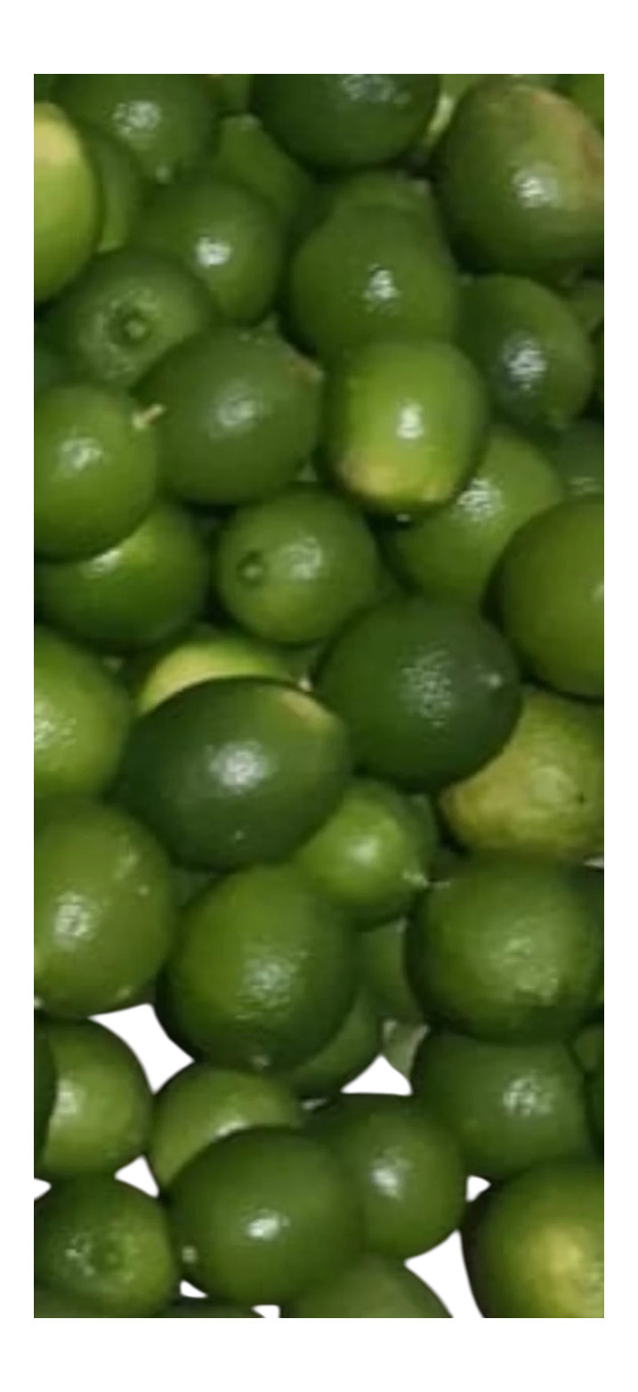 Lemons (5 units) / Limones (5 unidades)