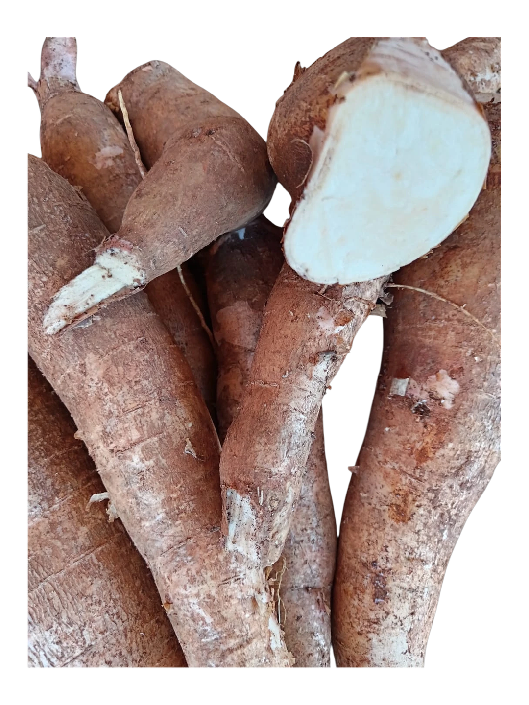 Cassava (per lb) / Yucas