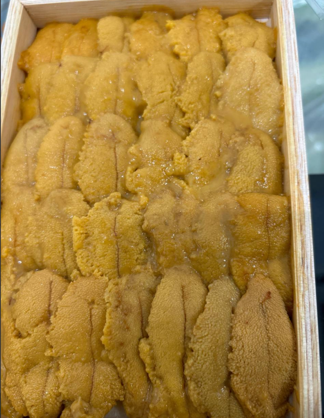 (FALL DOWN UNI) 250g '丸茂 Marumo' Murasaki Uni
