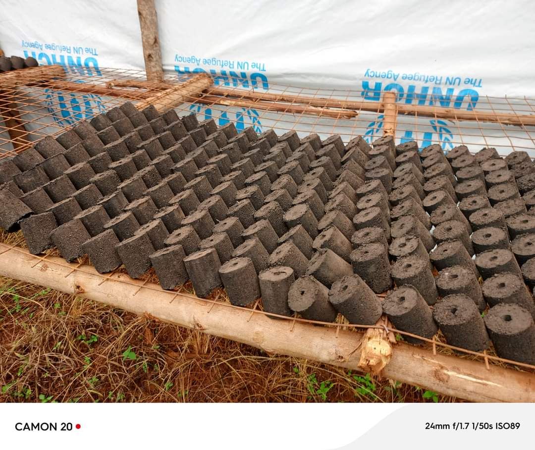 Eco briquettes
