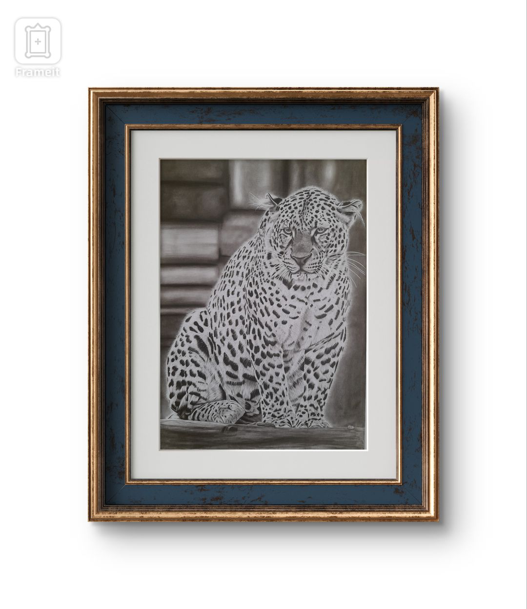 Leopard