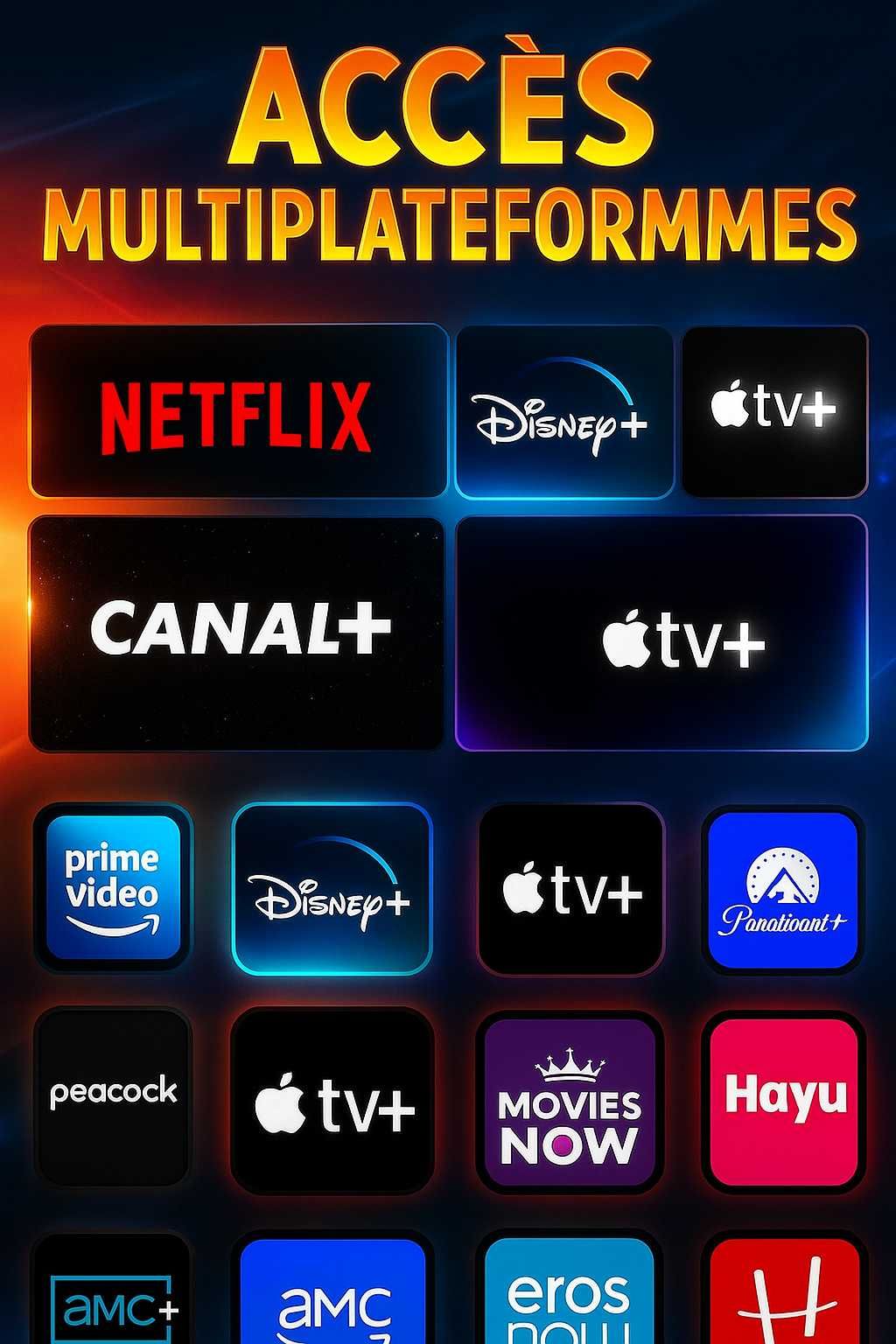 Abonnement Netflix Prime vidéo Disney à vie 