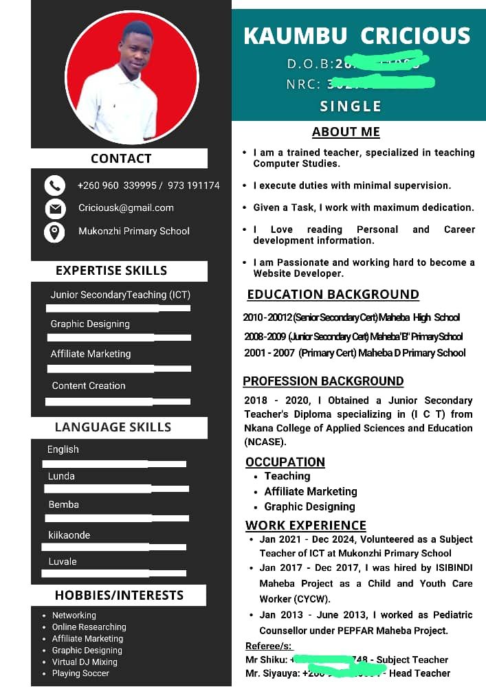 Professional CV 