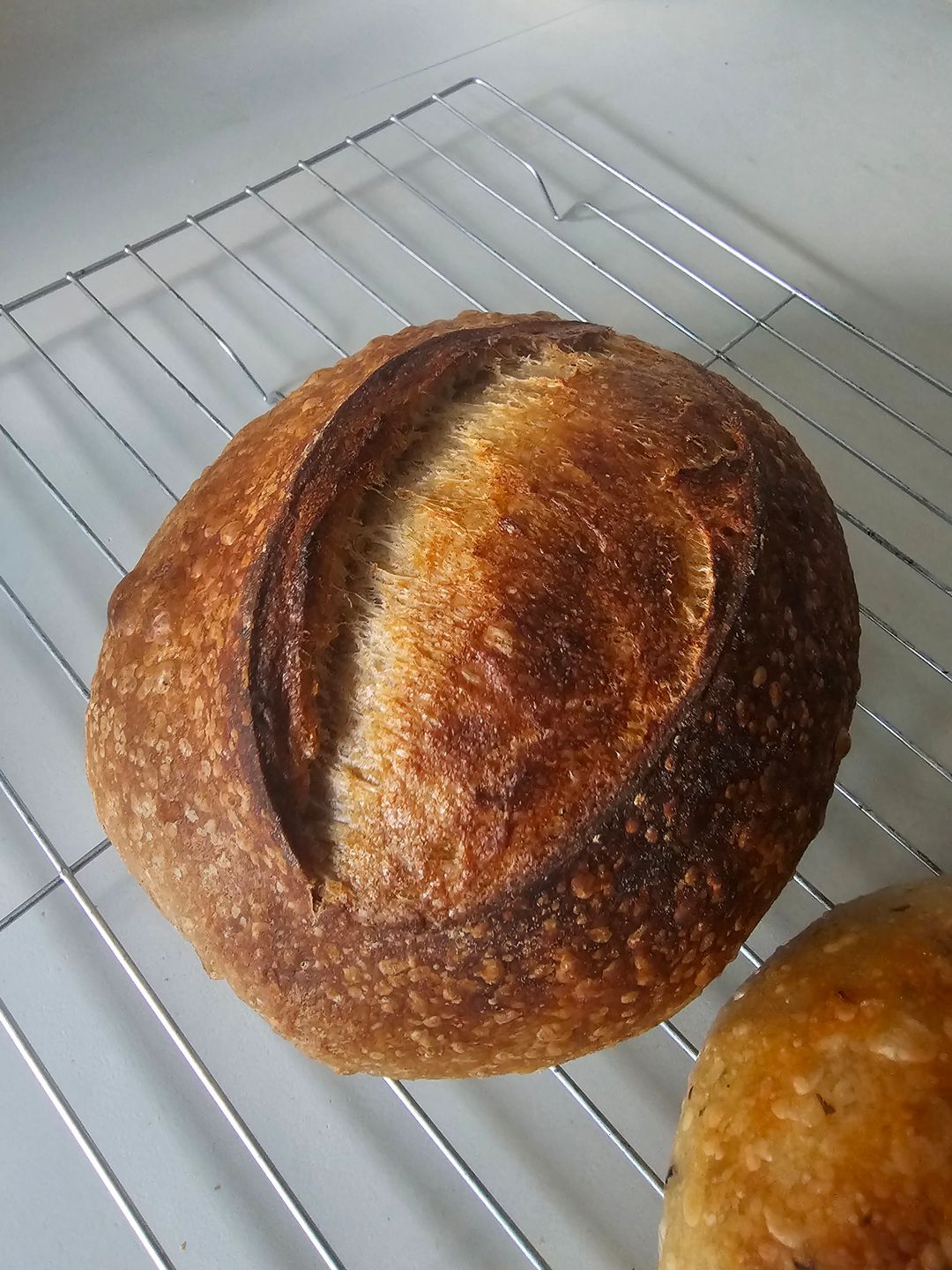 Rustic Wholewheat Sourdough